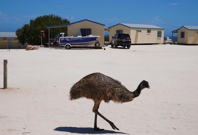 Resort Denham Seaside Caravan Park | Denham | Western Australia | Australia 18