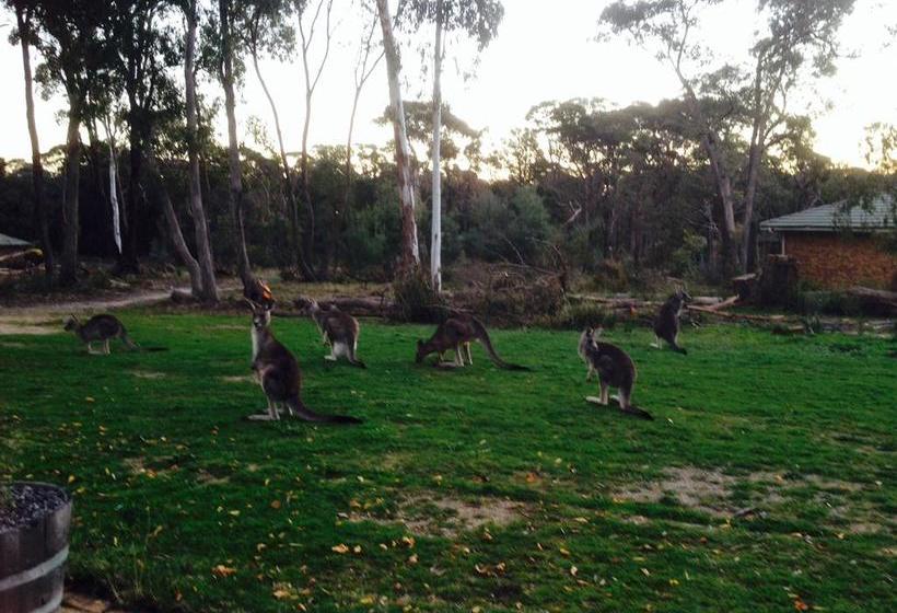Kyneton Bushland Resort | Kyneton | Victoria | Australia 10