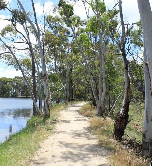 Kyneton Bushland Resort | Kyneton | Victoria | Australia 12