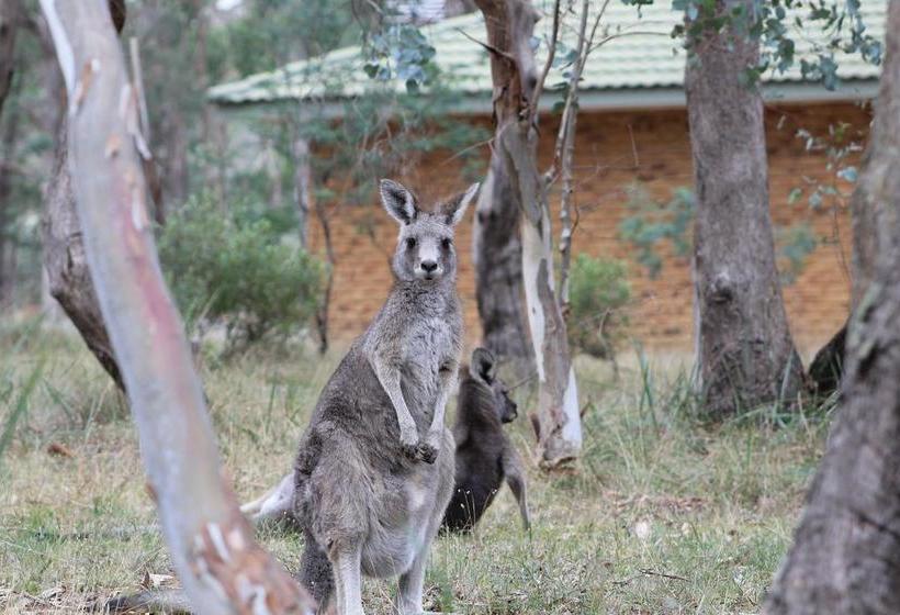 Kyneton Bushland Resort | Kyneton | Victoria | Australia 3