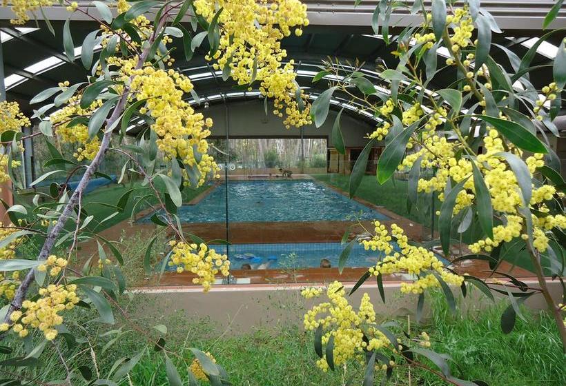 Kyneton Bushland Resort | Kyneton | Victoria | Australia 5