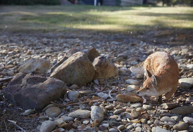 Bed and Breakfast Oak Hill Woodend | Woodend | South Australia | Australia 2