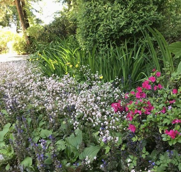 Sea Star B&b | Tofino | British Columbia | Canada 1