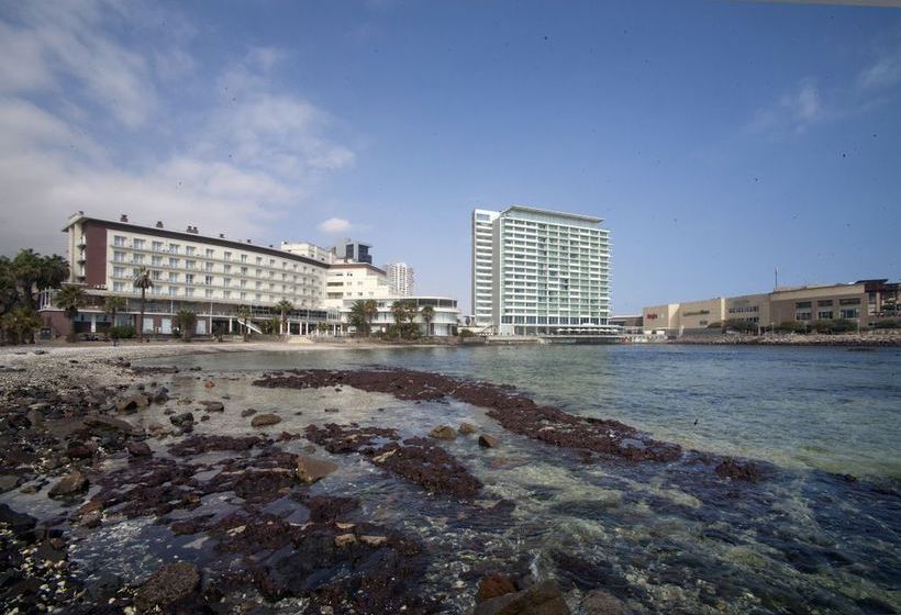 Panamericana Hotel Antofagasta | Antofagasta | Antofagasta | Chile 15