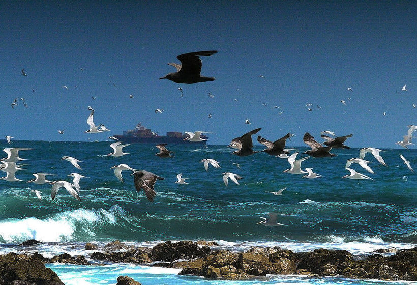 Panamericana Hotel Arica | Arica | Tarapaca | Chile 1