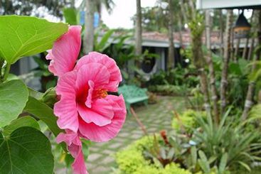 Hotel Pousada Do Capitao   | Ilhabela | São Paulo | Brasil 12