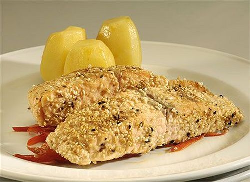 Hotel La Serena Plaza | La Serena | Coquimbo | Chile 17