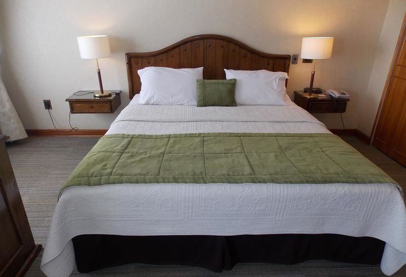 Hotel Best Western Finis Terrae | Punta Arenas | Magallanes y Antartica | Chile 13