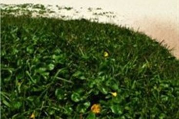 Hotel Gaivota Rio  | Rio de Janeiro | Rio de Janeiro | Brasil 3