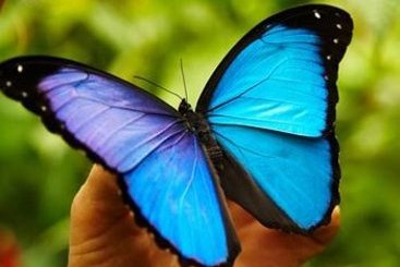 El Dorado Plaza Hotel & Business | Iquitos | Maynas | Perú 9