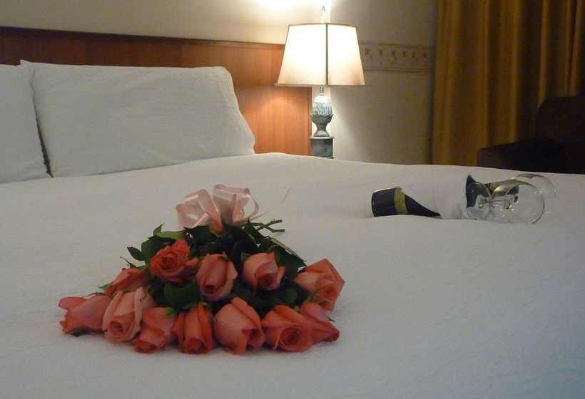 Hotel Saint Simon | Bogotá | Distrito Capital | Colombia 18