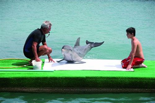Hotel Decameron Isla Palma | Isla de Palma | Sucre | Colombia 13