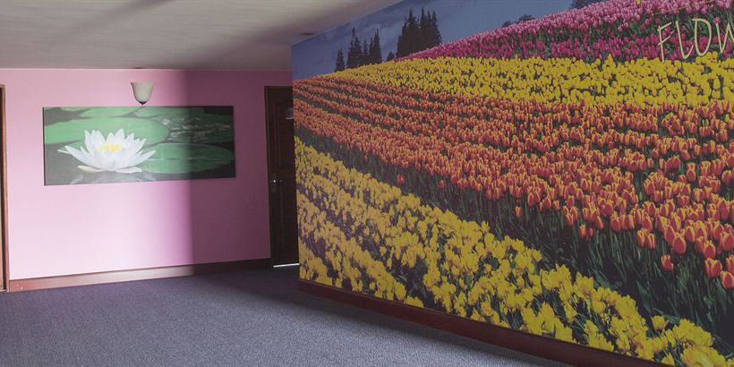 Hotel Selina Medellin | Medellín | Antioquia | Colombia 2