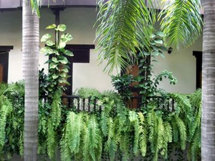 Centro hotel | Cartagena de Indias | Bolivar | Colombia 8