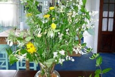 Victoria Fields Hotel & Resort | Punta del Este | Maldonado | Uruguay 10