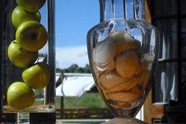 Victoria Fields Hotel & Resort | Punta del Este | Maldonado | Uruguay 13