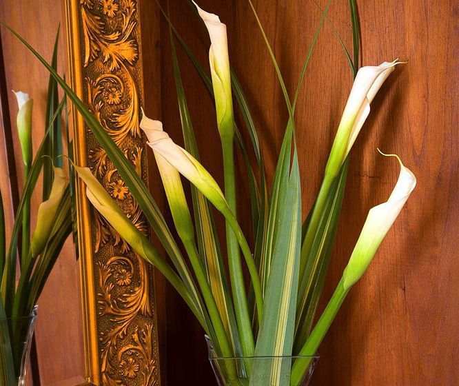 Hotel Santa Lucia | Cuenca | Azuay | Ecuador 5