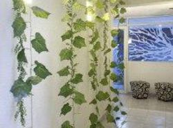 Hotel Estrella Del Mar | Cartagena de Indias | Bolivar | Colombia 10