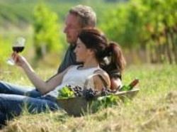 Hotel Santa Cruz | Santa Cruz | O'Higgins | Chile 16