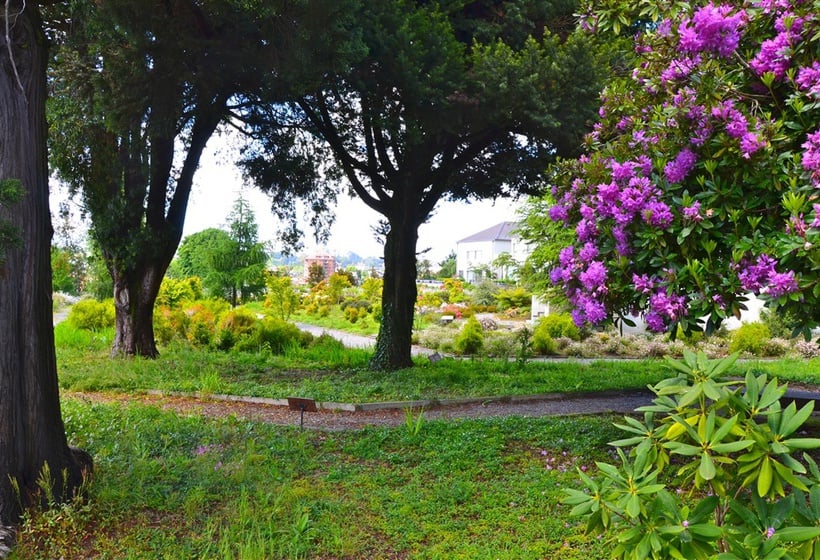 Hotel Enjoy Puerto Varas | Puerto Varas | Los Lagos | Chile 3