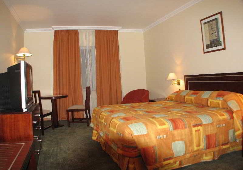 Hotel Diego De Almagro | Punta Arenas | Magallanes y Antartica | Chile 11