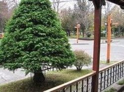 Hotel La Posada Plaza Pucón | Pucon | Araucanía | Chile 14