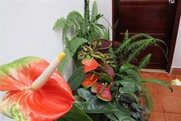 Hotel La Maison del Ejecutivo | San Juan de Pasto | Nariño | Colombia 16