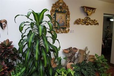 Hotel La Maison del Ejecutivo | San Juan de Pasto | Nariño | Colombia 18