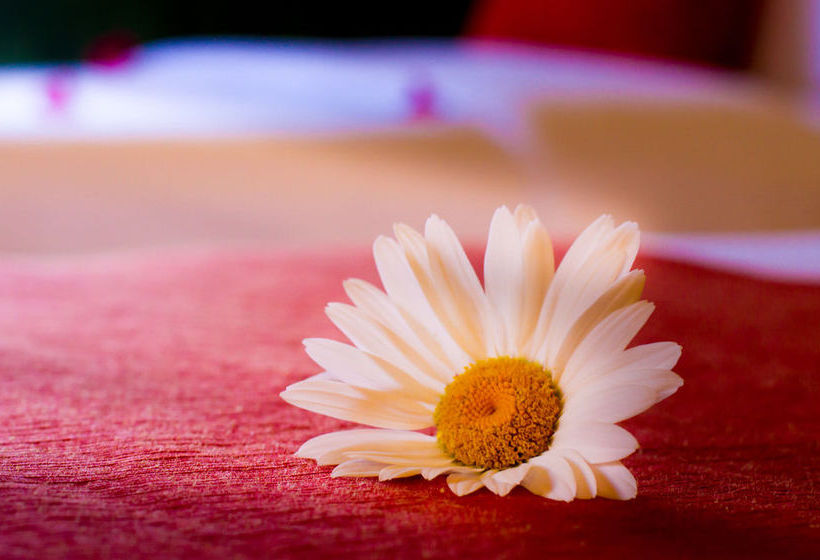 Hotel Eco Inn Valle del Colca | Colca | Caylloma | Perú 14