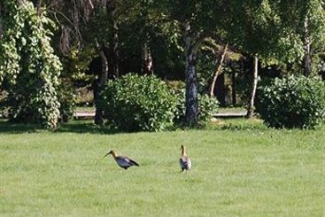 Hotel Casa Molino | Puerto Varas | Los Lagos | Chile 4