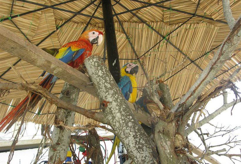 Hotel La Casona | Barranquilla | Atlantico | Colombia 3