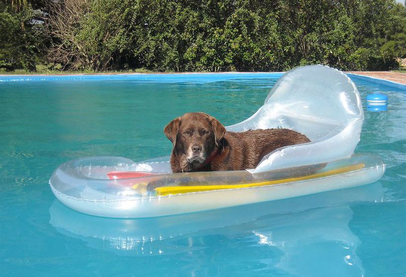 Hotel La Recompensa | Colonia del Sacramento | Colonia | Uruguay 6