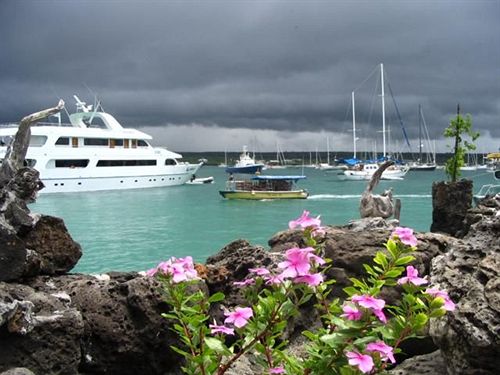 Hotel Angermeyer Waterfront Inn | Puerto Ayora | Galápagos | Ecuador 20