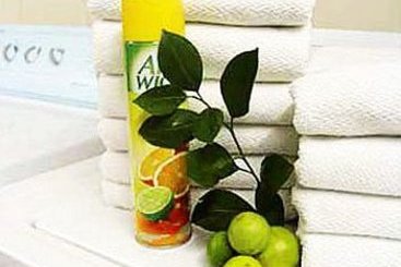 Hotel Vieja Cuba Quito | Quito | Pichincha | Ecuador 15