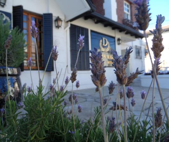 Hotel Domus Mare | Viña del Mar | Valparaiso | Chile 11