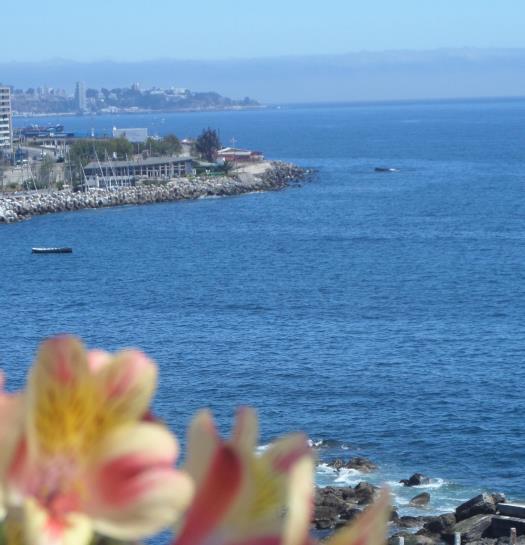 Hotel Domus Mare | Viña del Mar | Valparaiso | Chile 14