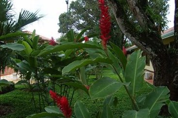 Hotel Campestre El Campanario | Villavicencio | Meta | Colombia 16