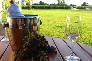 Hotel Terraviña | Santa Cruz | O'Higgins | Chile 6