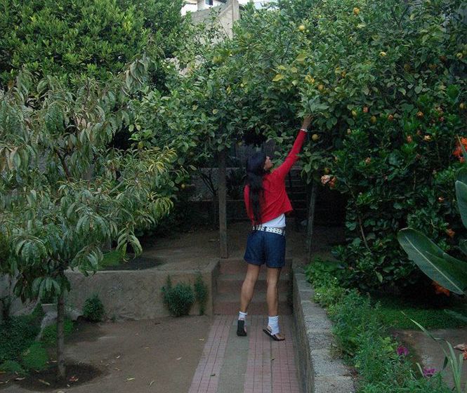 Puerto Natura Hotel And Spa | Valparaíso | Valparaiso | Chile 12