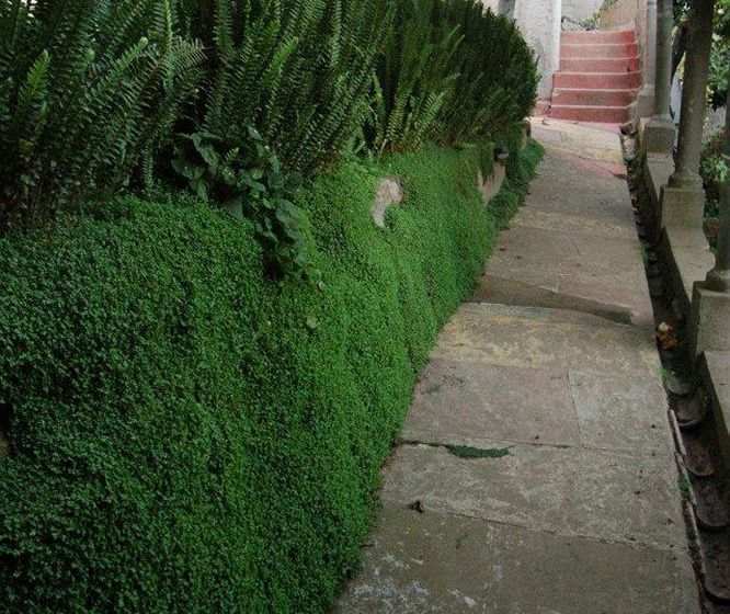 Puerto Natura Hotel And Spa | Valparaíso | Valparaiso | Chile 14