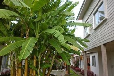 Hotel Inaki Uhi | Hanga Roa | Valparaiso | Chile 2