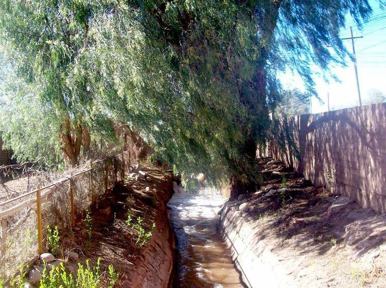 Hotel Rural Hostal Pachamama | San Pedro de Atacama | Antofagasta | Chile 9