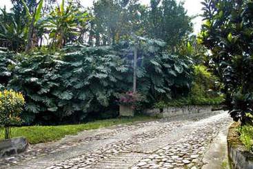 Hotel Gran Tierra | Vereda pan de Azucar | Antioquia | Colombia 3