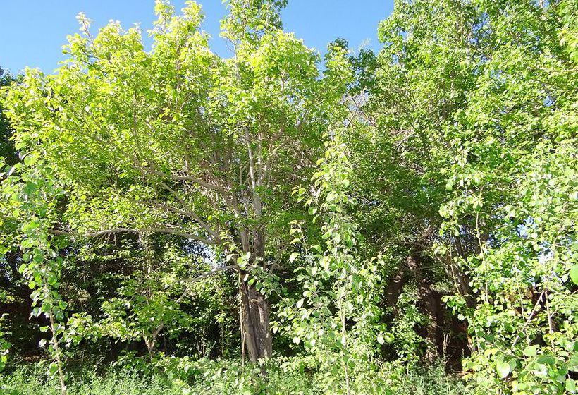 Hotel Complejo Caba | San Pedro de Atacama | Antofagasta | Chile 3