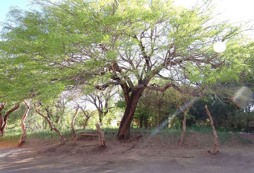 Hotel Complejo Caba | San Pedro de Atacama | Antofagasta | Chile 8