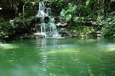 Hotel Pousada E Spa Vrindavana  | Teresopolis | Rio de Janeiro | Brasil 6