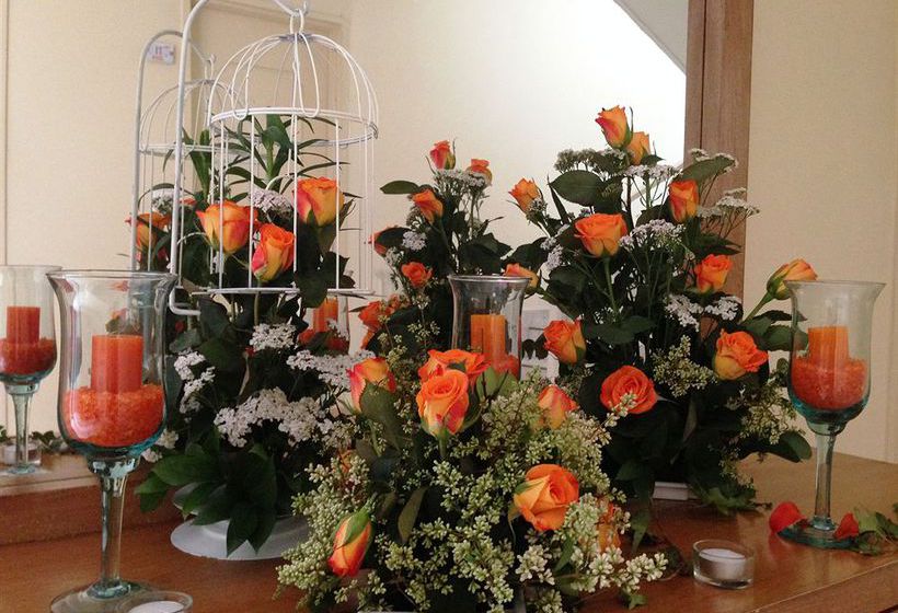 Hotel Molicie | Medellín | Antioquia | Colombia 2