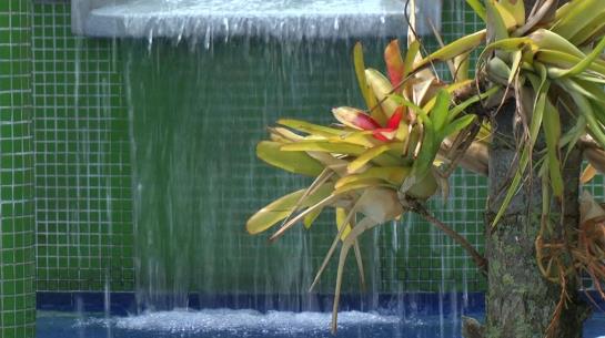 Hotel Palma Verde | Armenia | Quindío | Colombia 11