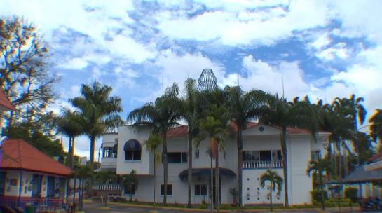 Hotel Palma Verde | Armenia | Quindío | Colombia 12