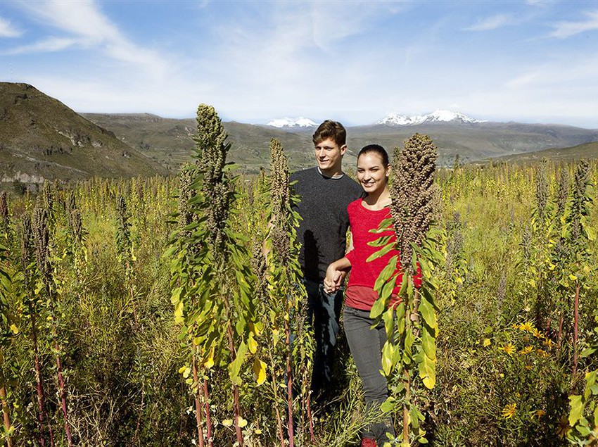 Hotel Aranwa Pueblito Encantado Del Colca | Colca | Caylloma | Perú 3